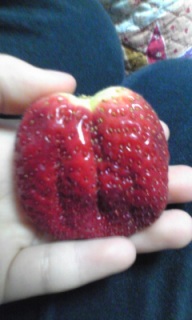 ���[�Ȃ�������