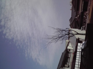 ������[���܂�����