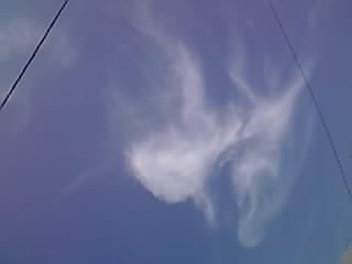 ���̒J�́c�c