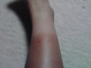 ���Ă��̍�������